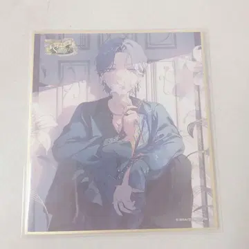 프로세카 아오야기 토야 색지 51A