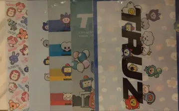 TRUZ 클리어 파일 세트