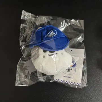 straykids 방찬 KARMA 봉제 인형 키링 미개봉 새상품