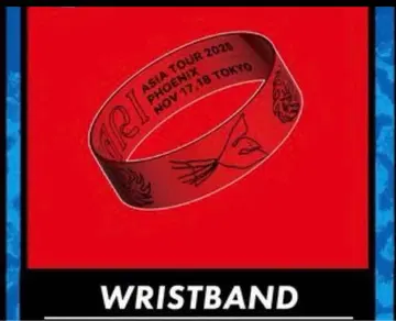 SEKAI NO OWARI phoenix 러버 밴드 도쿄 공연