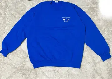 GILDAN SACRED HEART 파랑 맨투맨 L 사이즈