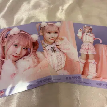 사이토 쥬아라 고양이 의상