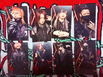 코도모 드래곤 나방 트레이딩 카드 8장