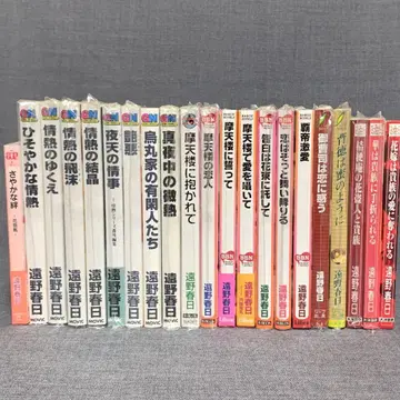 BL 소설 노벨스 묶음 판매 21권 토오노 카스가