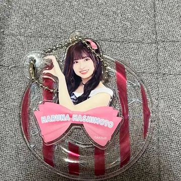 하시모토 히나 튜브 키링