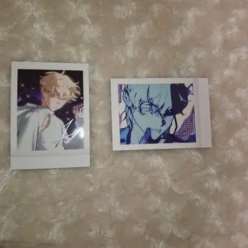 에이리언 스테이지 루카 금박 파샤코레 2장