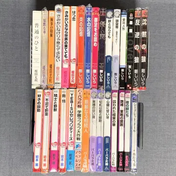 BL 소설 노벨스 묶음 판매 30권