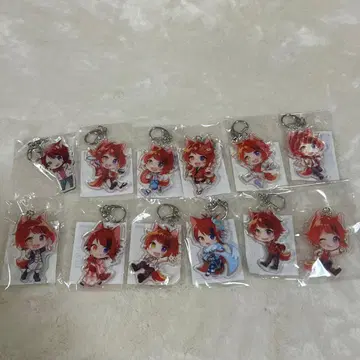 리이누 군 아크릴 키링