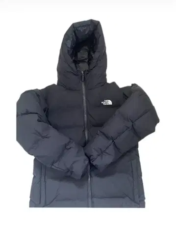 THE NORTH FACE 비레이어 다운 자켓