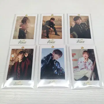 우라타누키 VOICE 폴라로이드 6종 세트