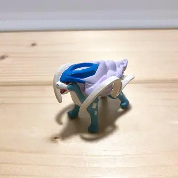 포켓몬스터 몬코레 비샤스 스이쿤 극장 한정판