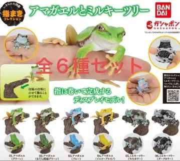생물대도감 손가락말이 컬렉션 청개구리와 밀키 트리 [전 6종]