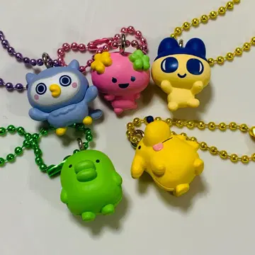 초코 박스 후라왓치 쿠치팟치 호호치 포치치 마메치