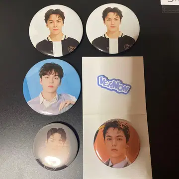 SEVENTEEN 버논 캔뱃지 5개 세트