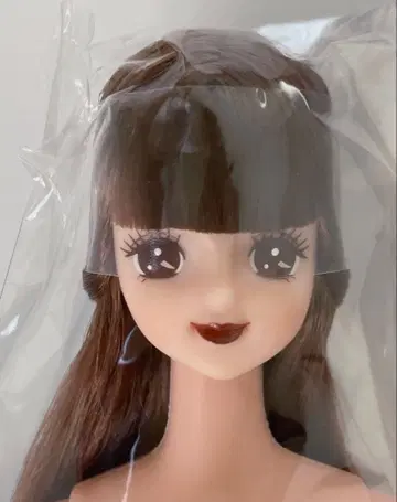 즐거운 인형 아야노 다크립 리카짱 캐슬