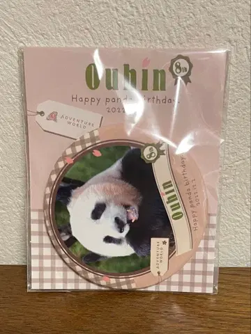 어드벤처 월드 벚꽃 캔뱃지