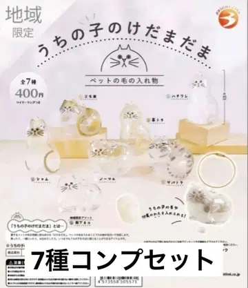 우리 아이 털뭉치 양말 고양이 지역 한정판