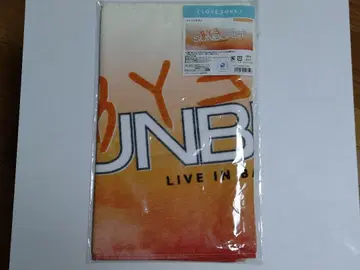 BYE SUNBURST 페이스 타월