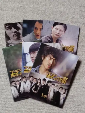 에덴의 동쪽 송승헌 DVDBOX 1 (디스크 6장) 한국 드라마