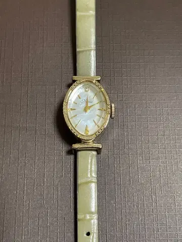 노제스 타원형 주얼리 워치