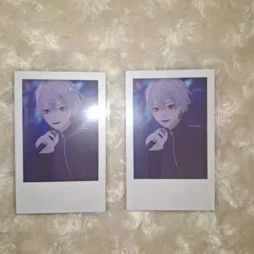 니지산지 가요제 폴라로이드 쿠츠하 2장