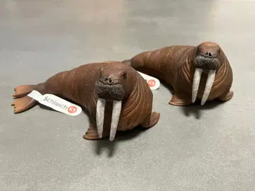 슐라이히 바다코끼리 동물 피규어 2개