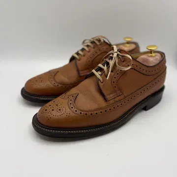 REGAL 임페리얼 그레이드 2235 윙팁 25cm