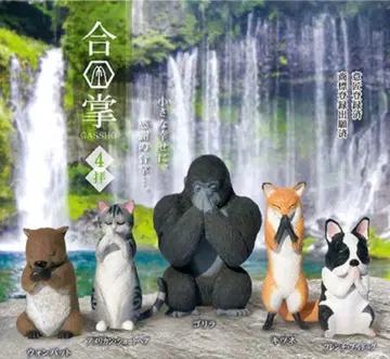 합장 4배 컴프 5체 세트