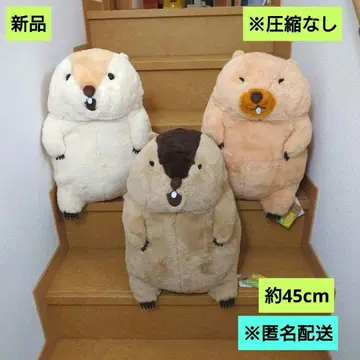 마모트의 모토토 모아 울트라 BIG 외치는 모토토 야마모토 보바 군