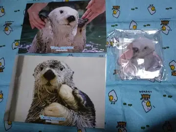 카푸쿠지 x 토바 수족관