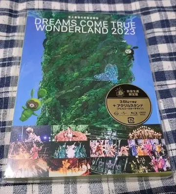 드림스 컴 트루 원더랜드 2023