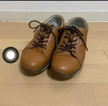 joya 가죽 스니커즈 컴포트 슈즈 브라운