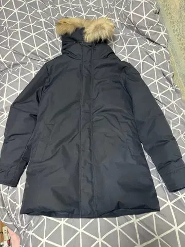 피레넥스 안시 ANNECY 일본 사이즈 L