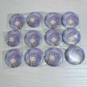 호시미치 쇼 halfAnniversary 캔뱃지 12개