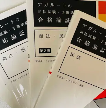 아갈토 논증집 3권 세트 민법 상법 민사소송법 형법 형사소송법