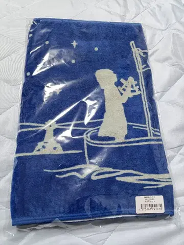 야쿠시마루 히로코 콘서트 투어 2025 타월