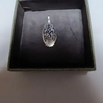 오버레이. 호피족. 도마뱀