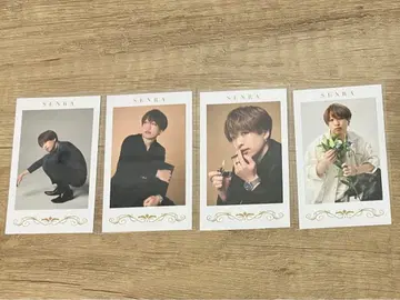 센라 랜덤 미니 포토 카드 MARCEL 실사 폴라로이드