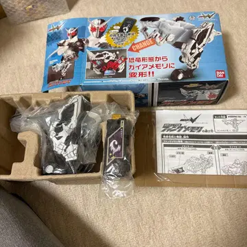 DX 팬 메모리 초회 생산 한정판