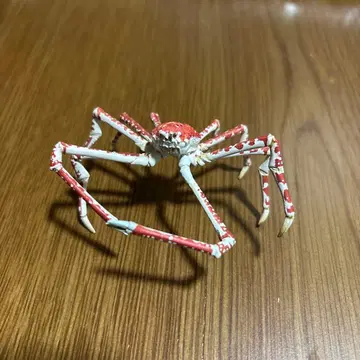 네이처 테크니컬러 타카아시가니 해유관 한정판! 받침대 없는 타입