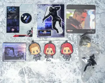 MARVEL 마블 호크아이 블랙 위도우 세트