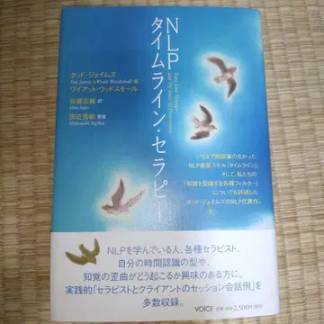 NLP 타임라인 테라피