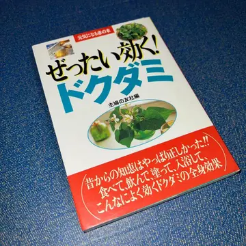 절대 효과! 독활