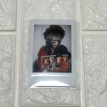 Royz  폴라로이드