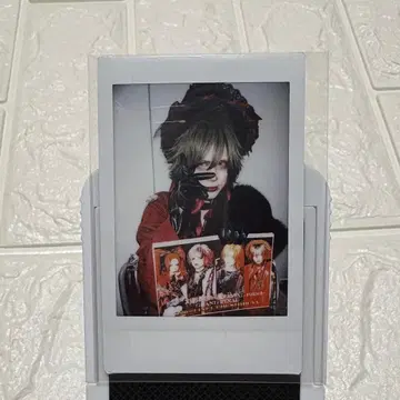 Royz  폴라로이드