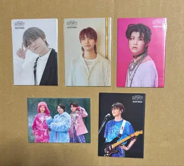 미세스 바벨탑 포토카드 5종 세트