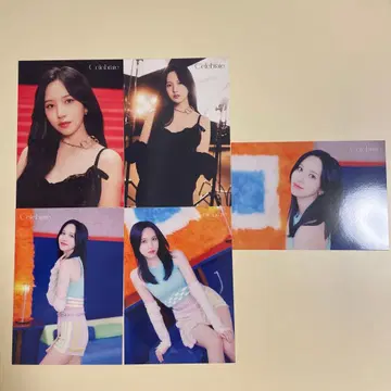 twice celebrate 랜트레 미나