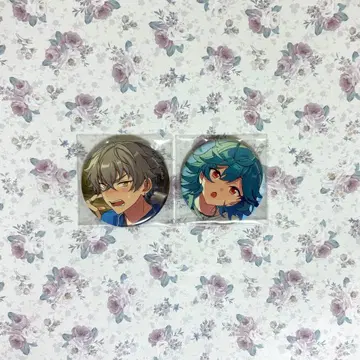 앙스타 캔뱃지 오오가미 코가 호죠 라이카 라이카