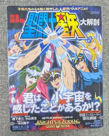 세인트 세이야 대해부