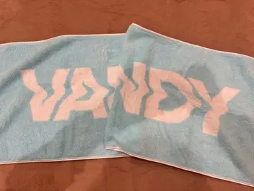 VAUNDY 타월